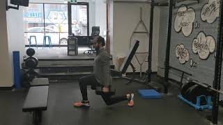 DB Reverse Lunges