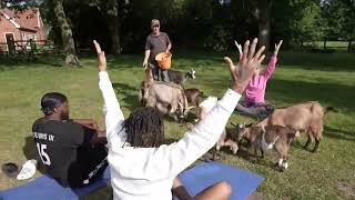 JiDion and NLE go to Goat Yoga...