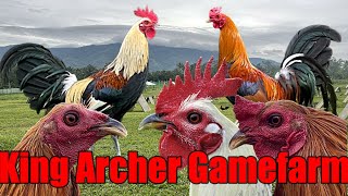 Lets Visit The Farm Of King Archer Gamefarm