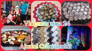 Vlogmas ziua 24 🎄🎁. Ajunul Crăciunului. Facem bradul, vine Moș Crăciun 🎅 și mergem cu colinda.