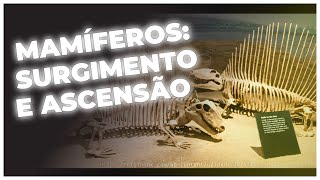 QUANDO OS MAMÍFEROS APARECERAM E PROSPERARAM: UMA JORNADA PELA HISTÓRIA NATURAL