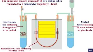 Measurement of Respiration rate with the help of Respirometer/ What is Respirometer and its uses?