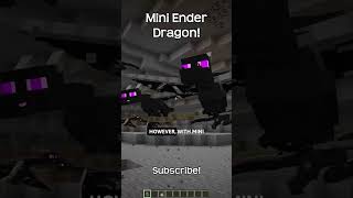 You Can Turn Phantoms Into Mini Ender Dragons With This Resource Pack!