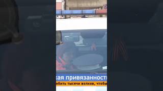 ПРИВЯЗАЛА СОБАКУ К БАГАЖНИКУ И ПОЕХАЛА, ВОЛОЧА СОБАКУ ПО АСФАЛЬТУ.