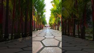 MEI DUMB #meidumb #mei #trend #mei2023 ##toptrending #shortvideo #shorts #viral #trendvideo