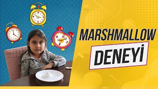 MARSHMALLOW DENEYİ