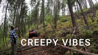 Our Search for Bigfoot - Creepy Vibes