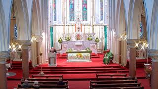 Wednesday Morning Mass. Wednesday of the 2nd week in Ordinary Time (Jan 22nd). Rathfarnham, Dublin.