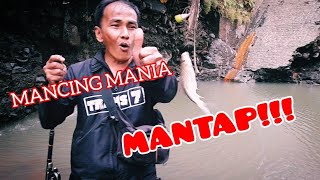 Mancing Mania Strike Back! Spot Tersembunyi di Ciawi Sarang Ikan Nilem Babon