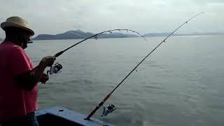 Pesca de peixe na  Praia  Grande