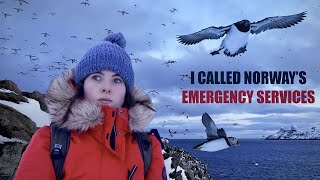 STRANDED ALONE on an Arctic Puffin Island