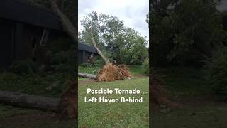 Hurricane Helena devastated Greenville #hurricane #helena #southcarolina #Greenville #tornedo