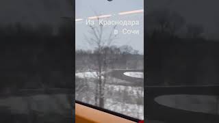 Снег в Краснодарском крае сегодня в январе письмо ТатьянЛеониднаМихНиколаичу 4