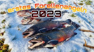 Forellenhof Trauntal/ erstes Forellenangeln 2023