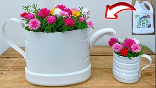 BA | Creative teapot garden from plastic bottles to grow beautiful Portulaca (mossrose) flowers