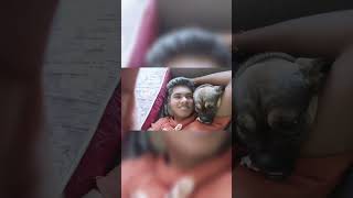 Watch till end 😂 //#angrydog 😅