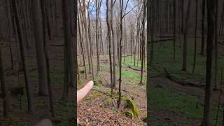 RAMPS, RAMPS EVERYWHERE on UNIQUE PROPERTY in OHIO!