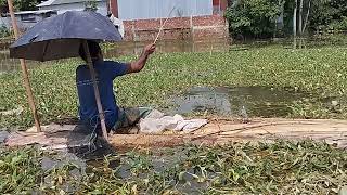 Fish in the flood water of the village Amazing hook fishing with beautiful nature