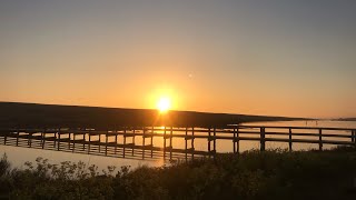 Chesil Beach Spring Fishing