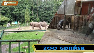 ZOO GDAŃSK