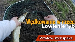 Wędkowanie w rzece ,Szukanie i łowienie ryb w marcu , ciekawy przyłów szczupaka