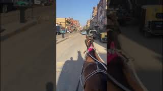 Egypt 🇪🇬 Edfu temple visit by horse &  carriage ادفو