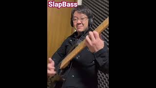 Slap Bass SOLO #slapbass #basssolo #bassline  #funkbass #ベースソロ#ベーシスト