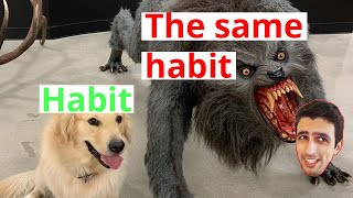 Why Habits are really dangerous!