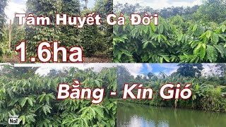 (Đã bán))Cần nhượng lại lô đất rẫy cafe+tiêu nguồn thu mạnh thế đất bằng đẹp có nhà có điện