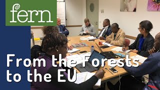 From the forests to the EU