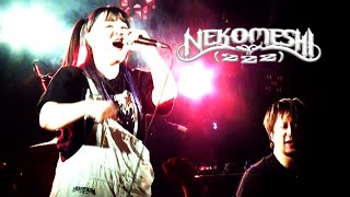 NEKOMESHI(222) "Eclipse" 2022.11.19 @ Kashiwa Thumb Up, Chiba