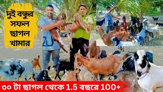 দুই বন্ধুর সফল ছাগল খামার। মাত্র ৩০ টা ছাগল থেকে ১.৫ বছরে ১০০ প্লাস ছাগল। successful goat farming.