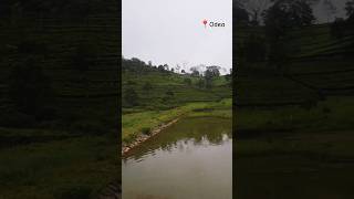 📍Odea | Cynthia Janet #cj #odea #kotagiri #ooty #coonoor #nilgiris #subscribe #weekend #tamil #like