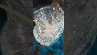 How to bag and transport tilapia fingerings