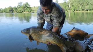 Aveyron pêche Carpe