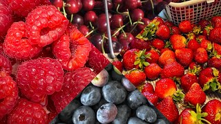 Cherry 🍒 blueberry 🫐 raspberry strawberry 🍓 picking