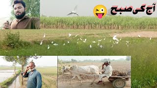 subah ki routine#village life zohaib pendu/Hamza Sidhu 😜☺️🥰🥰