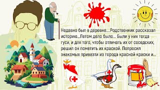 🏠Жена Разгадывает Скановорд...Сборник Новых,Смешных До Слёз Историй Из Жизни,Для Супер Настроения!