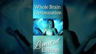 Whole Brain Optimization Intro