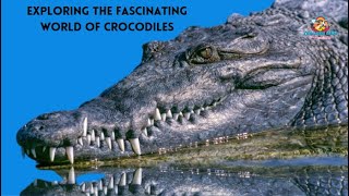 Exploring the Fascinating World of Crocodiles | Teacher Aide | Australia