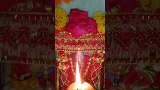 Maa Ashapura 🙏🙏#shorts #aarti #short #maa #ashapura #ashapuramataji #shortaarti #viral #youtube