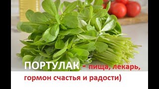 144. ПОРТУЛАК — пища, лекарь, гормон счастья и радости)