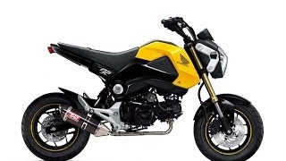 Honda Grom/Msx 125 review part 2