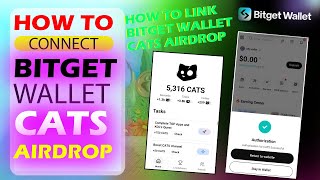 How to Connect Bitget Wallet in Cats Airdrop - How To Connect Bitget Wallet To Cats - Cats Bitget