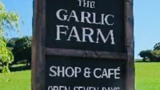 The Garlic Farm Isle of Wight #farmshop #uk #garlicfarm #shop #cafe #food #trendingvideo