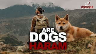 ARE DOGS HARAM?