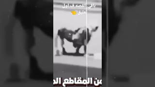 الجانب المظلم باليوتيوب 😱😱 #قصص_رعب_انيميشن