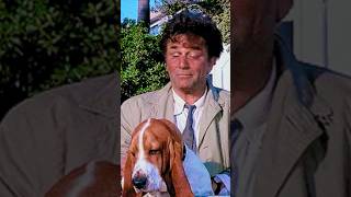 Lt. Columbo gets a dog!￼