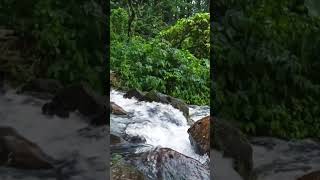 Aiq Nyet Springs - One of Lombok's most popular springs with crystal clear water