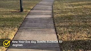 New Year Eve day 2021 taking a  walk Tampa Florida